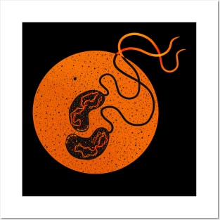 Vibrio cholera Posters and Art